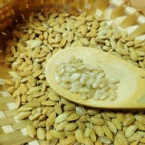 源天然免浸泡胚芽糙米