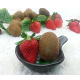 台灣迷你奇異果