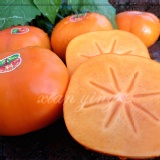 嚴選大尺寸脆甜甜柿 特價：$49