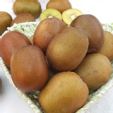 金圓頭黃金奇異果 特價：$23