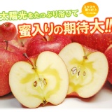 日本青森蜜蘋果 特價：$55