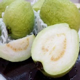 脆甜多汁珍珠芭樂 特價：$119
