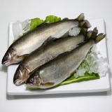 純淨公香魚 特價：$280