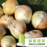 [主購禮] 滿7組送1組 特價：$0