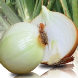 台灣本土無毒鮮甜洋葱 特價：$169