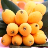 鮮甜特選枇杷 特價：$179