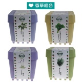 iPlant 積木農場-香草組合 特價：$399