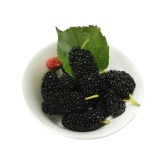 [主購禮] 滿30包送1包 特價：$0