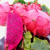 高甜度鮮採紅火龍果