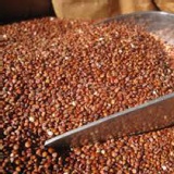 【豐禾元物】祕魯進口繽紛三色藜麥-紅藜麥 特價：$98