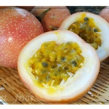 蜜糖滿天星百香果