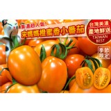 美濃宋媽媽橙蜜香小番茄 特價：$329