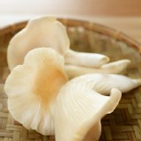 Good Mall 鮑魚菇200g 特價：$46