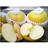 日本青森星の金幣蘋果 特價：$55