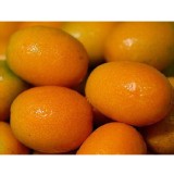 鄉間小路單粒精裝金柑(原味) 特價：$125