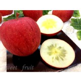 日本青森サンふじ蜜蘋果 特價：$39