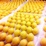 【御品味】檸檬蛋糕 特價：$13