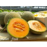 網紋紅肉哈蜜瓜 特價：$129