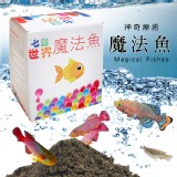 神奇療癒魔法魚 特價：$112