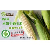 【蔬果工場】北海道水果牛奶玉米(以10的倍數下單) 特價：$39