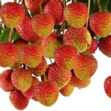 村長的玉荷苞 特價：$220