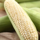 【鮮綠農業】尚青ㄟ白水果玉米