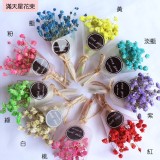 擴香精油乾燥花束裝飾 特價：$59