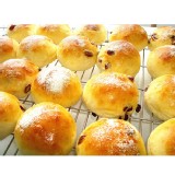 【海岸山麥】蔓越莓乳酪餐包