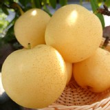 梨中極品~嚴選梨山の白梨 特價：$21