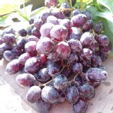 【鮮瑩】黑糖蜜無籽葡萄 特價：$129