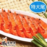 【蝦覓世界】特大尾熟白蝦