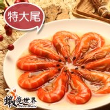 【蝦覓世界】特大尾5.5° 醉蝦