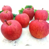 日本青森サンふじ蜜蘋果