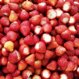 當季冷凍新鮮草莓 特價：$120