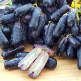 【鮮瑩】空運直逹~月亮無籽葡萄