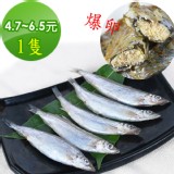 黃金爆卵柳葉魚