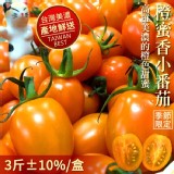 產地直送 美濃超人氣橙蜜香小番茄禮盒(3斤±10%/盒)