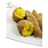 【神農良食】台農57號黃金地瓜