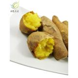 【神農良食】台農57號黃金地瓜