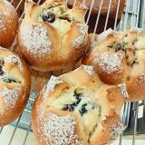 【海岸山麥】裸麥起士球