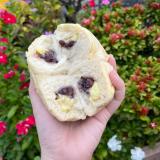 【甜蜜點-日式貝果專家】今川燒紅豆奶油貝果(蛋奶素)