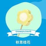 【梅花の冰】秋思桂花