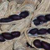 黑金剛花生 特價：$100