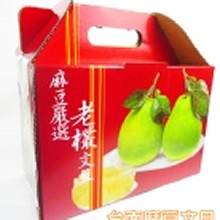 【台南麻豆】磚仔井李家50年老欉文旦