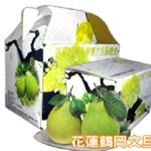 【花蓮鶴岡】38年老欉文旦