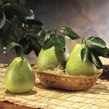 《生產履歷認證》柚強麻豆文旦，限時限量大合購特價