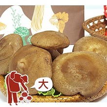 黑早鮮冬菇(大)