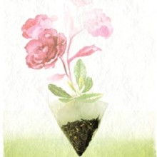 玫瑰油切綠茶