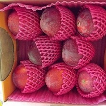 村長的愛文芒果《5台斤8粒》