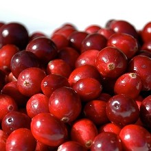 【幸美生技】冷凍莓果系列-蔓越莓